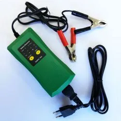 Cargador de Baterías de Plomo 6V y 12V 1A