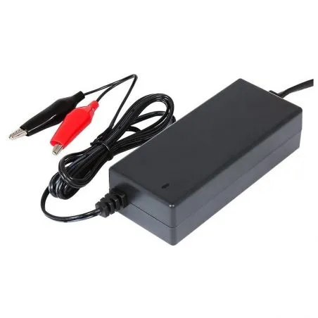 Cargador Inteligente para baterias de GEL, AGM y Acido 12V 12A